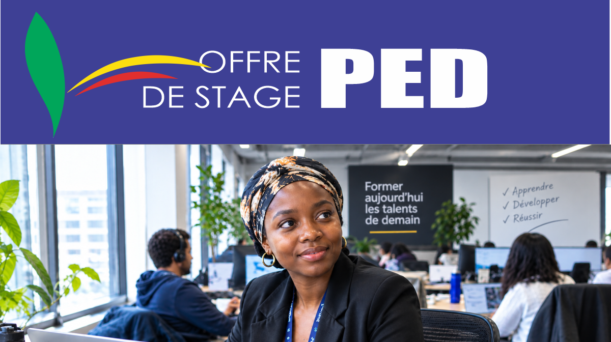 Développement web & mobile